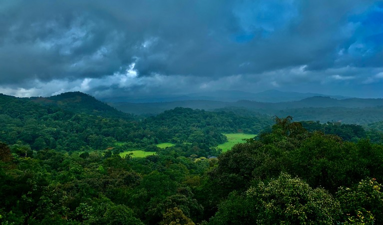 Refreshing Break to South